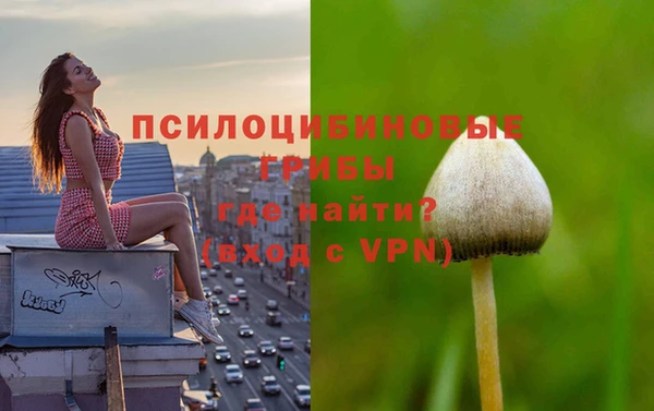 таблы Армянск
