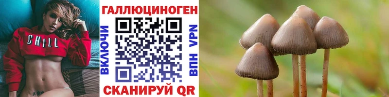 мориарти какой сайт  как найти закладки  Хвалынск  Псилоцибиновые грибы Magic Shrooms 